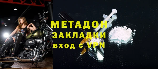 индика Няндома