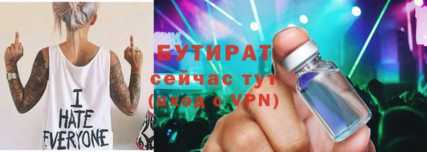 индика Няндома