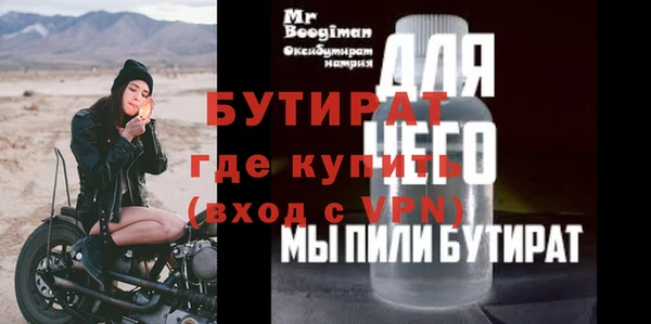 индика Няндома