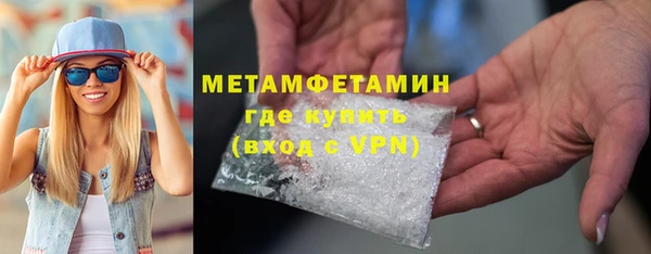 индика Няндома