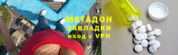 индика Няндома