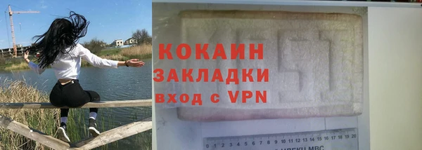 индика Няндома