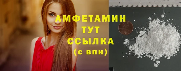 индика Няндома