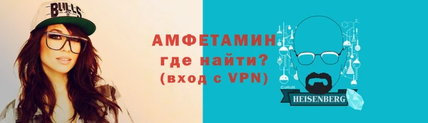 индика Няндома