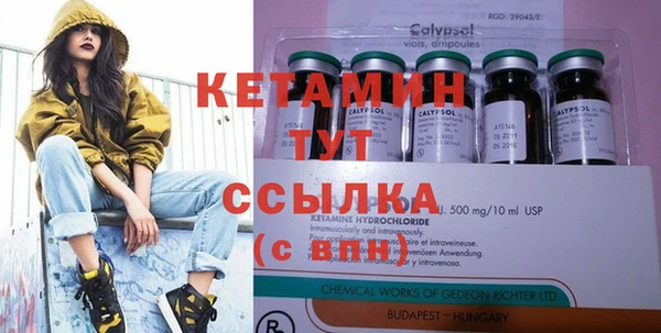 индика Няндома
