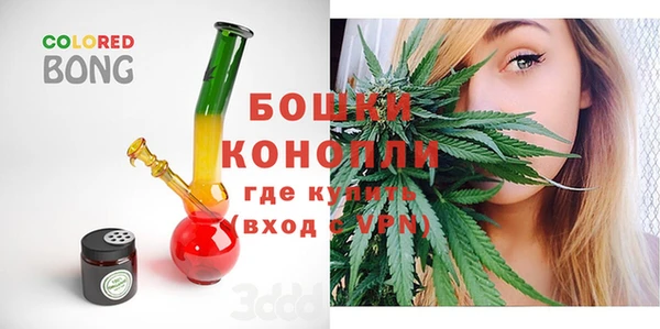 индика Няндома