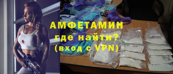 индика Няндома
