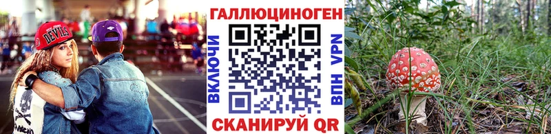 Псилоцибиновые грибы Psilocybine cubensis  OMG как войти  Киреевск  наркотики 