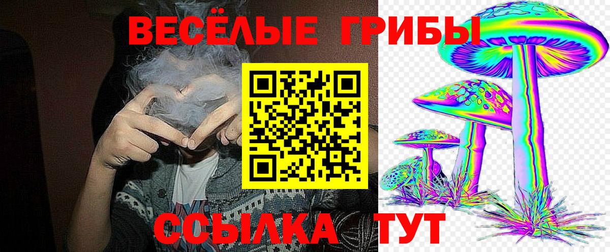 Галлюциногенные грибы MAGIC MUSHROOMS Киреевск