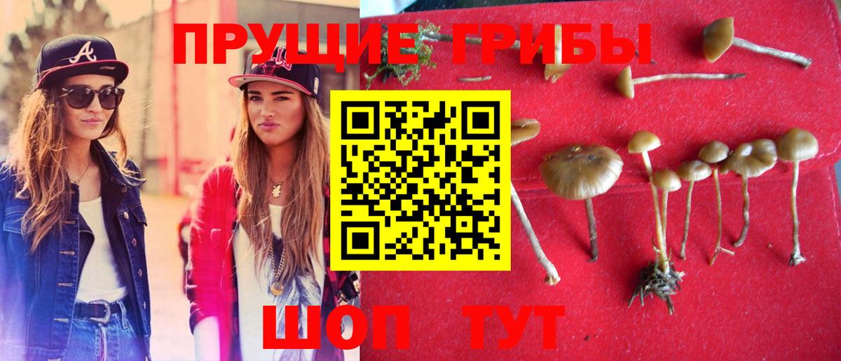 Цена  Каннабис  Киреевск  Гашиш  Вход с VPN  МЕТАДОН  Гашиш  Мефедрон кристаллы  Альфа ПВП СОЛЬ  
