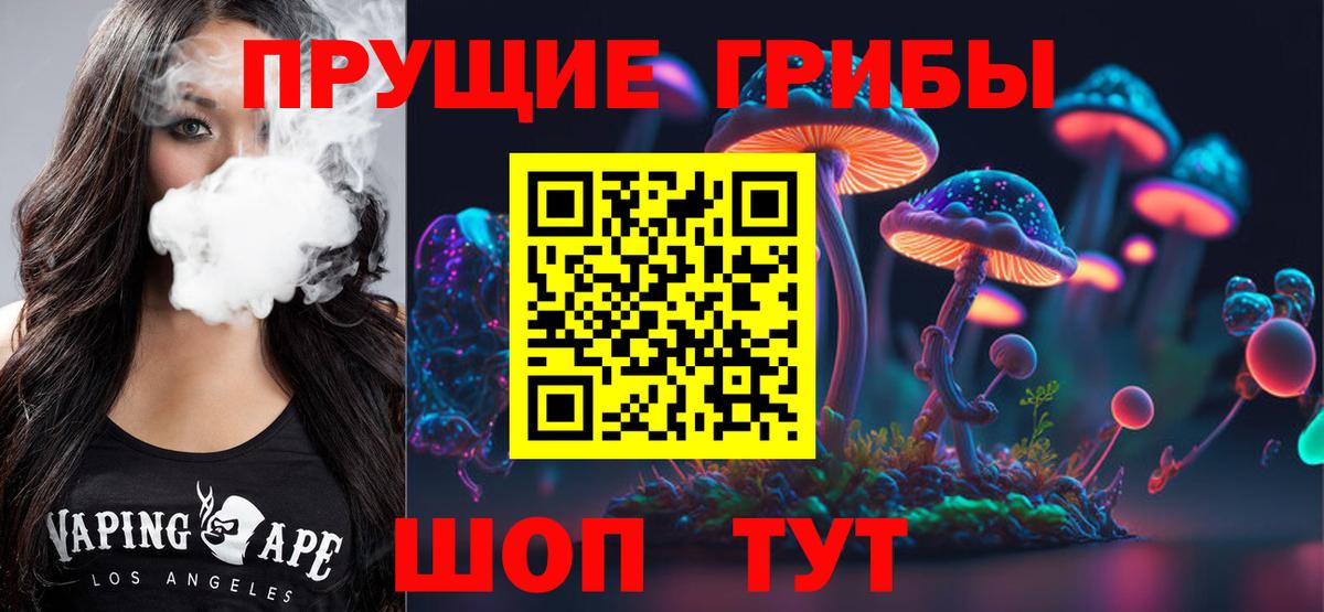 Галлюциногенные грибы Psilocybe  Вход с VPN  Псилоцибиновые грибы мухоморы  Киреевск 